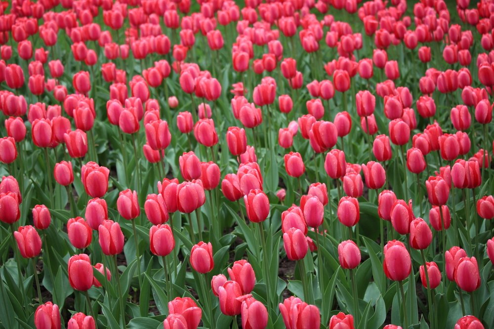 Photograph by Виталий