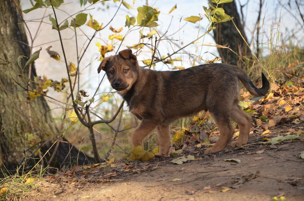 Photograph by Наталья Иванкова