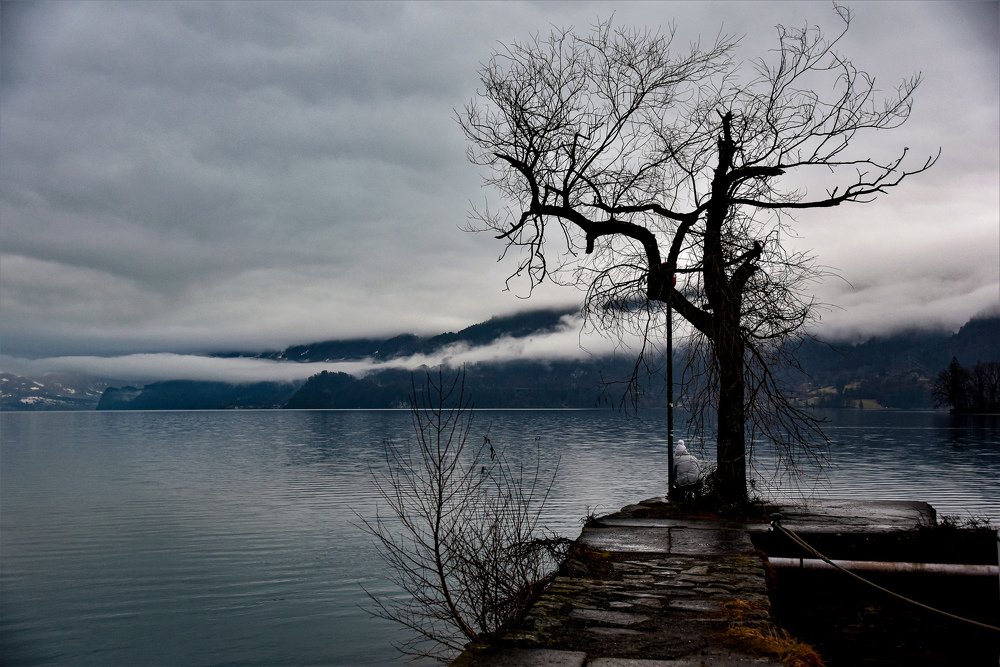 Photograph by Наталия Березина