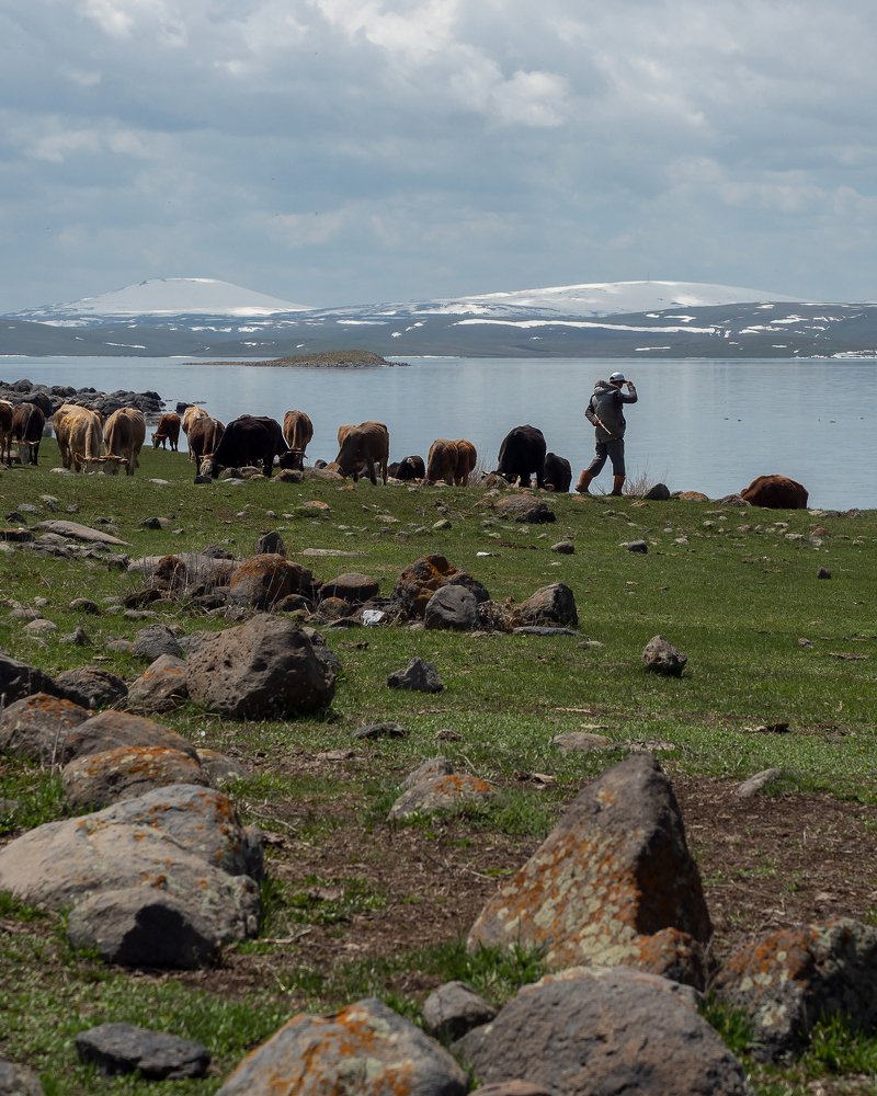 Photograph by Римма Рамазанова