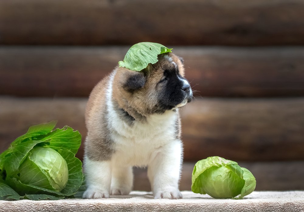 Photograph by Татьяна Тихомирова