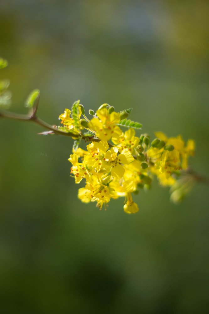 Photograph by Gulnaz Sabirova