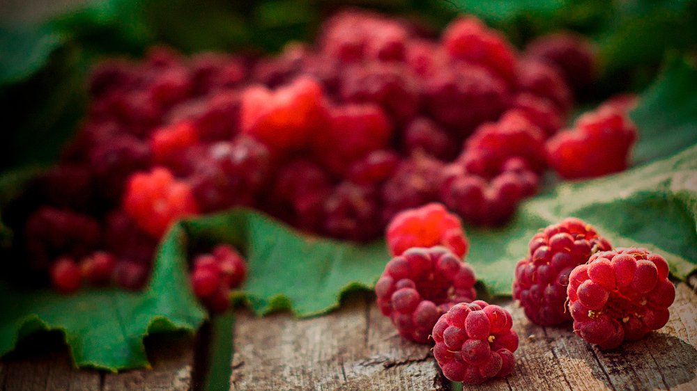 Фотография автора Роман Борисов