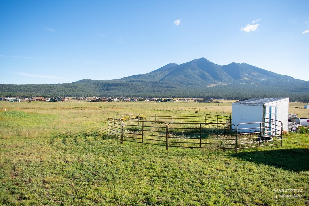 Photograph by Gulnaz Sabirova