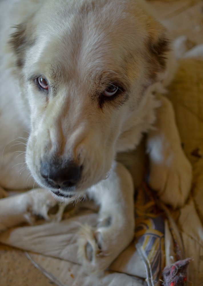 Photograph by Катя