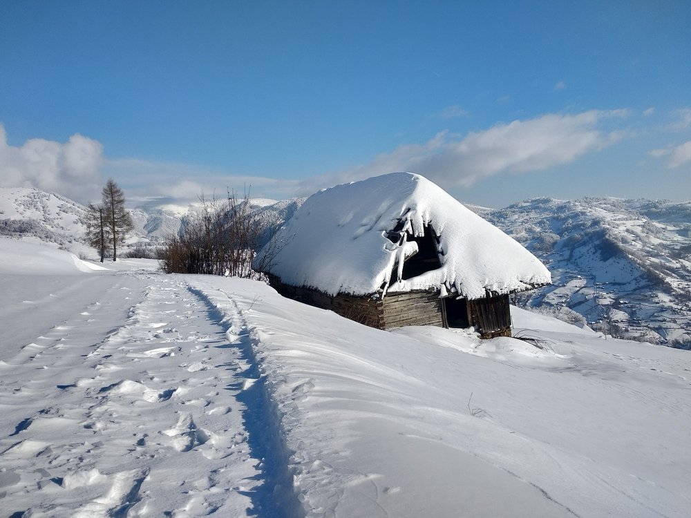 Photograph by tanase nicolae
