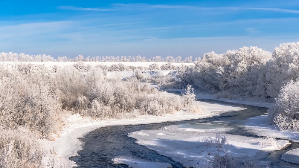 Чудеса зимней природы.