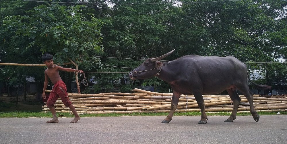 Photograph by Ahsabul Yamin Riad