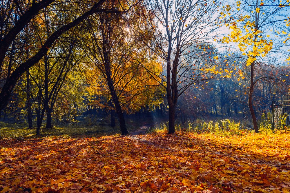 Волшебная осень