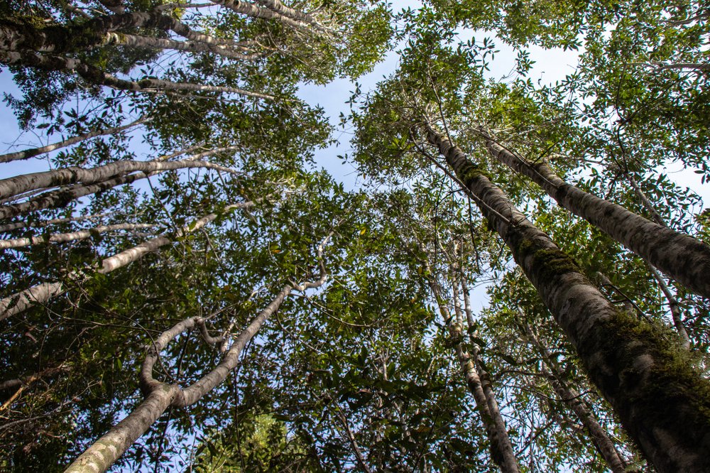 Photograph by Barbara Gonzalez