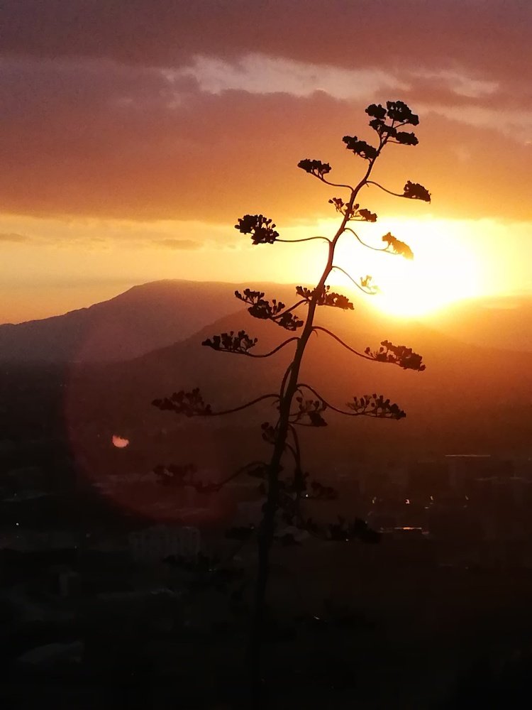 Photograph by Barbara Gonzalez