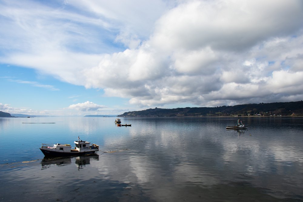 Photograph by Barbara Gonzalez