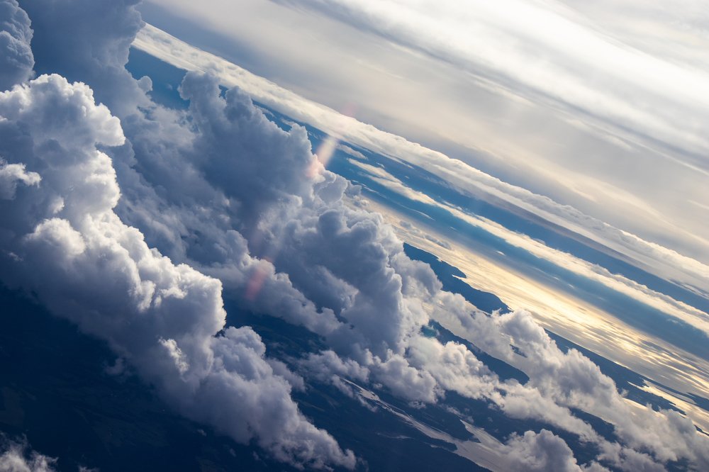 Photograph by Barbara Gonzalez