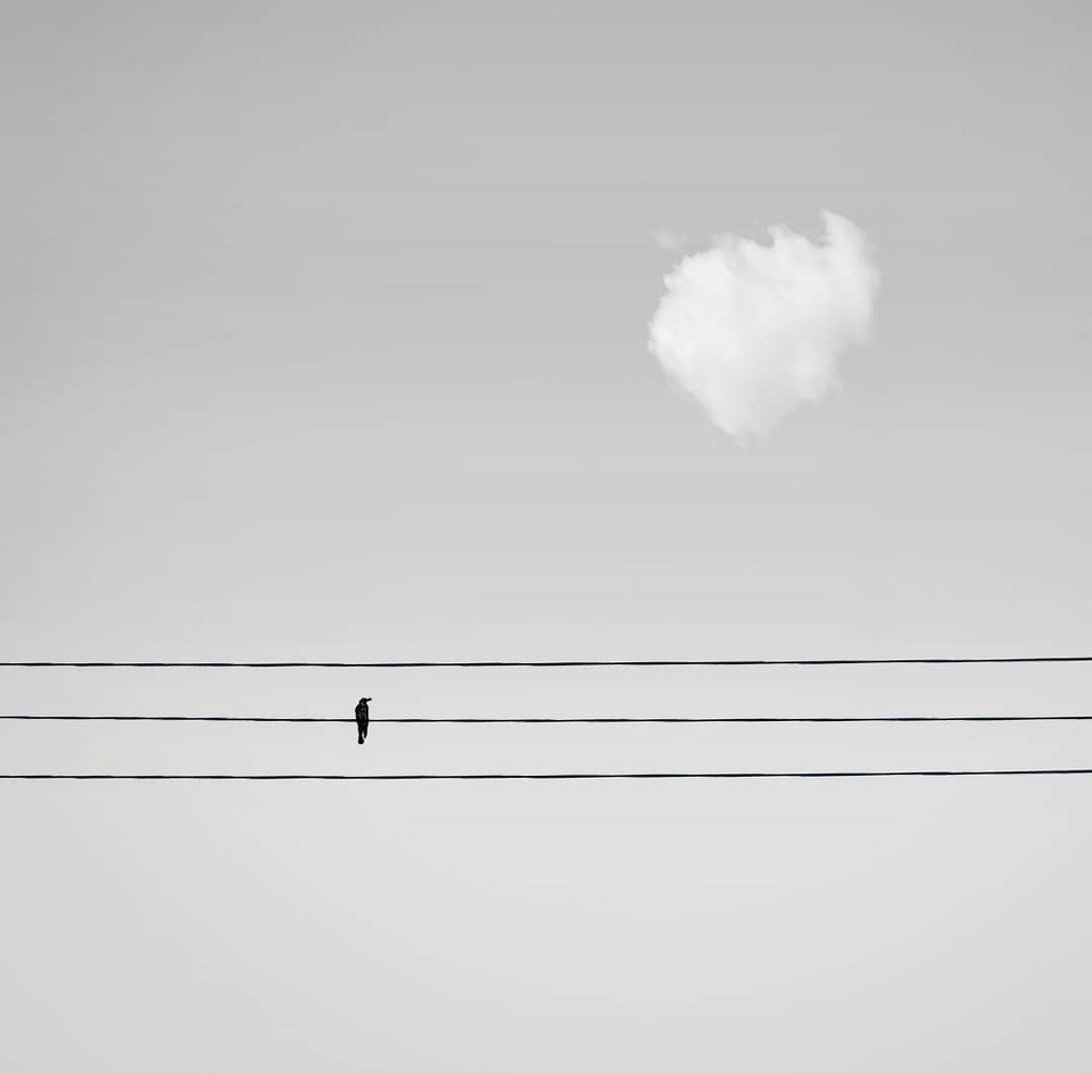 Photograph by Abbas alasadi