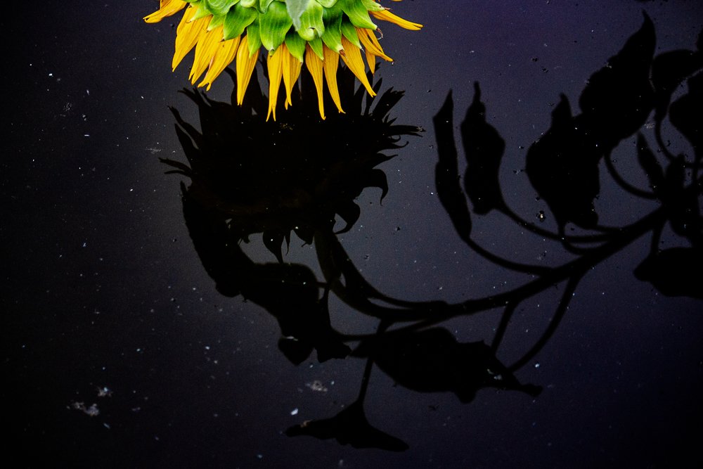 Photograph by Golestani Mojtaba