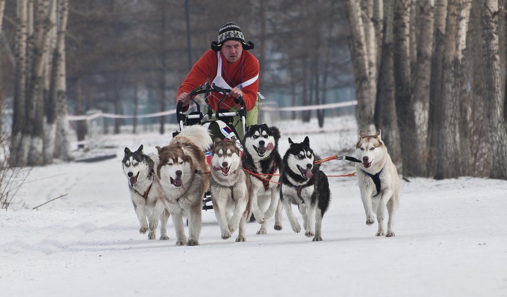 Только вперёд, к победе!