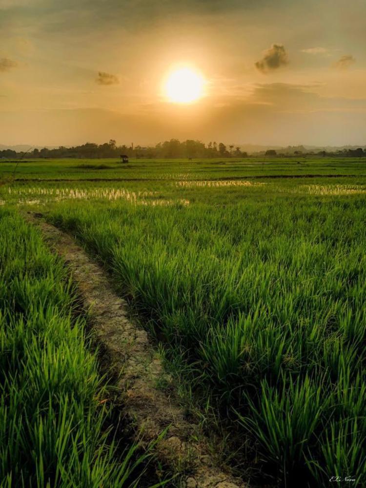 Photograph by EL Nova