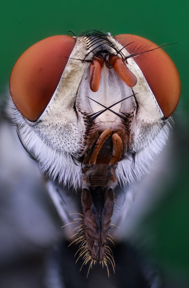 Photograph by Nghiem Khoa