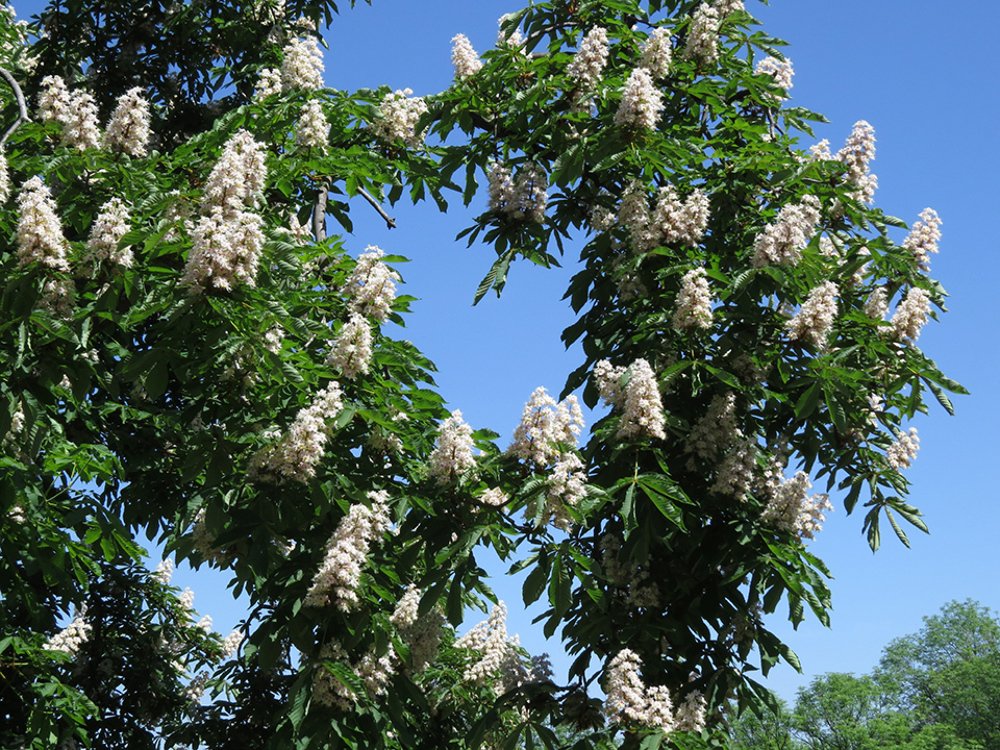 Photograph by Сергей Рубан