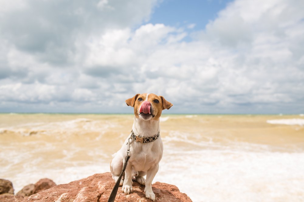 Photograph by Денис Токмаков