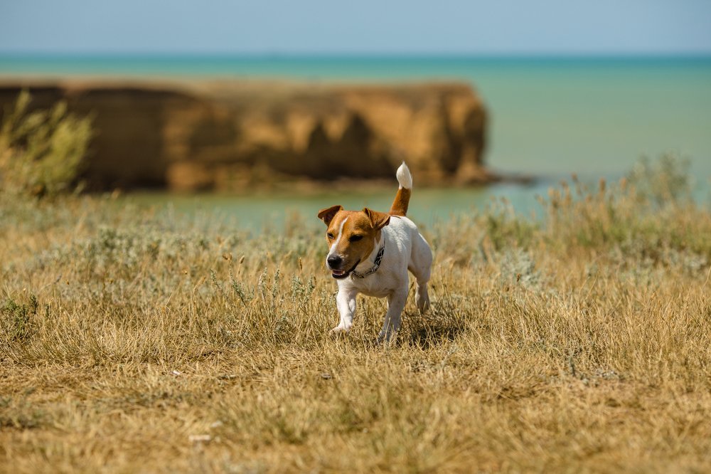 Photograph by Денис Токмаков