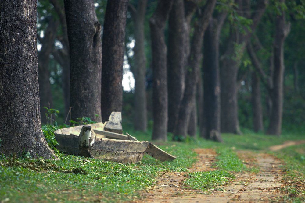 Photograph by SanyatTurjo