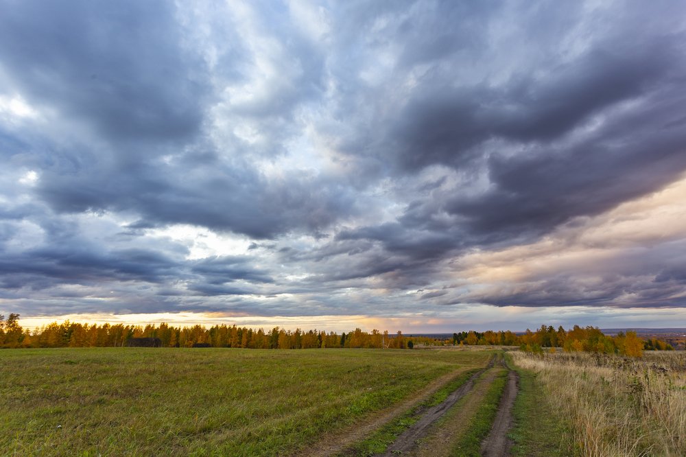 Фотография автора Андрей Логвинович