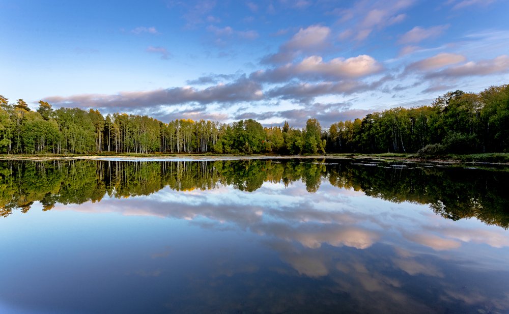 Фотография автора Андрей Логвинович