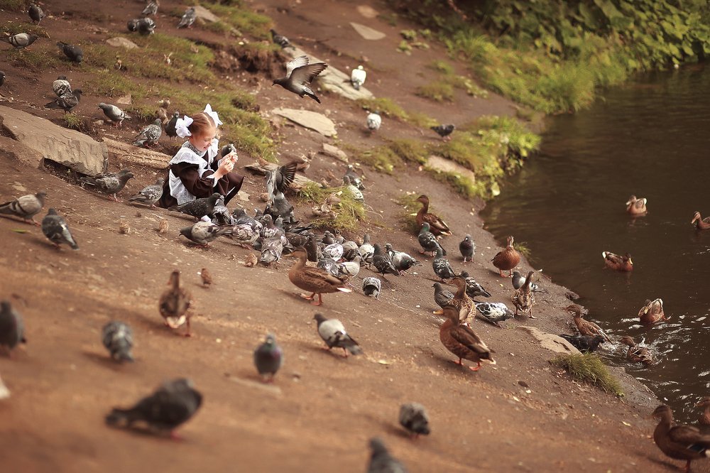 Фотография автора Ольга Котова