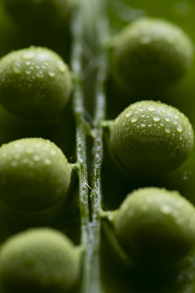 Photograph by Игорь Архипов