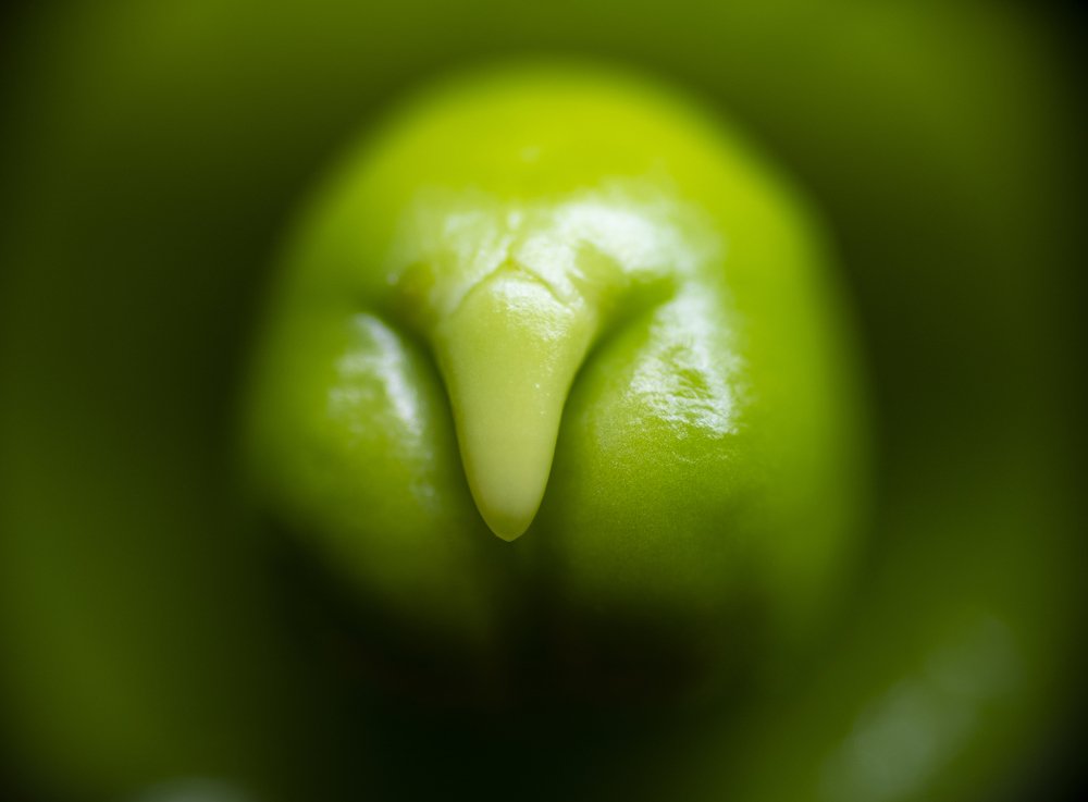 Photograph by Игорь Архипов