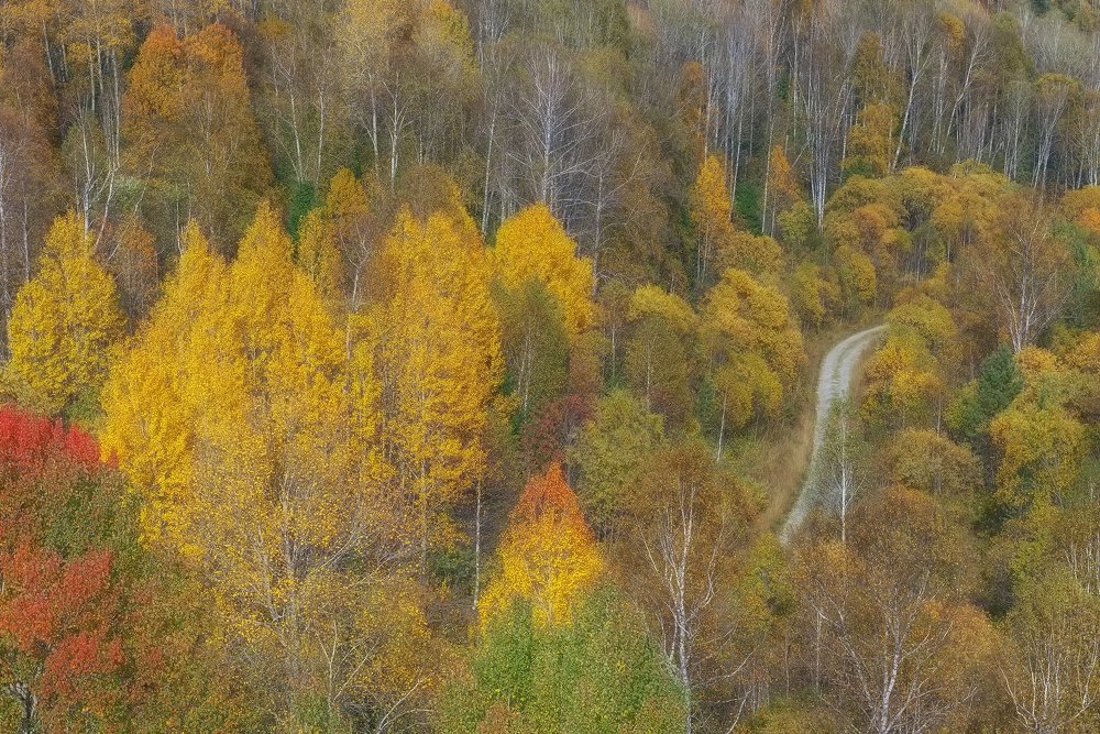 Осенней дорогой.