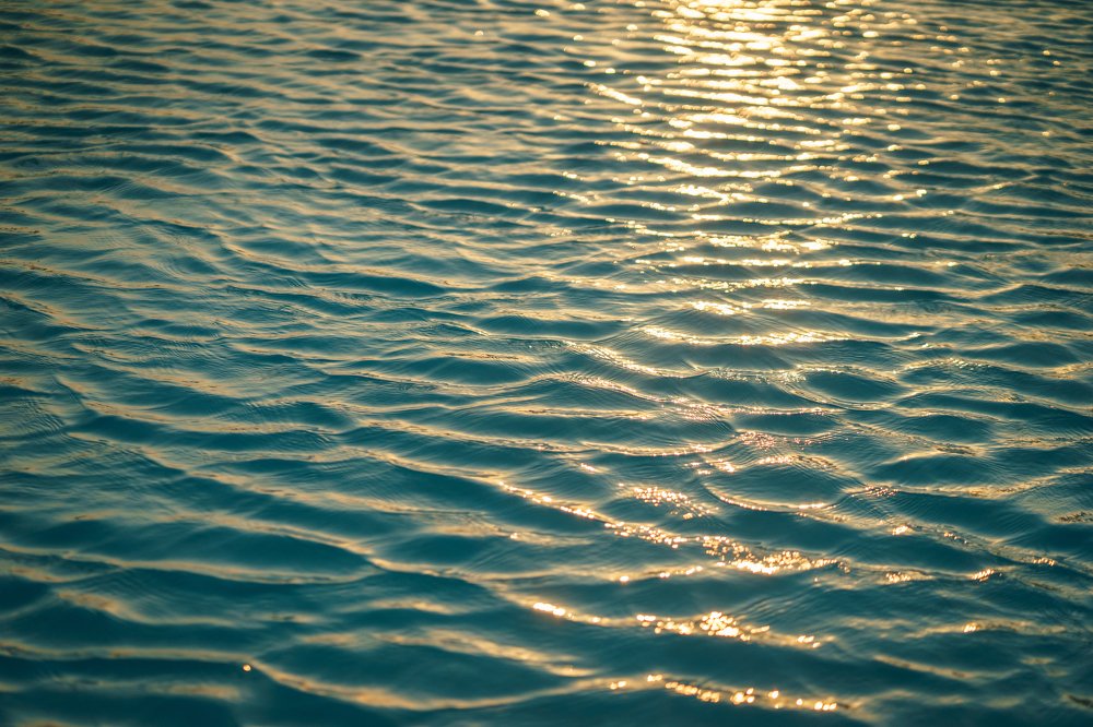 Photograph by Евгений Старков