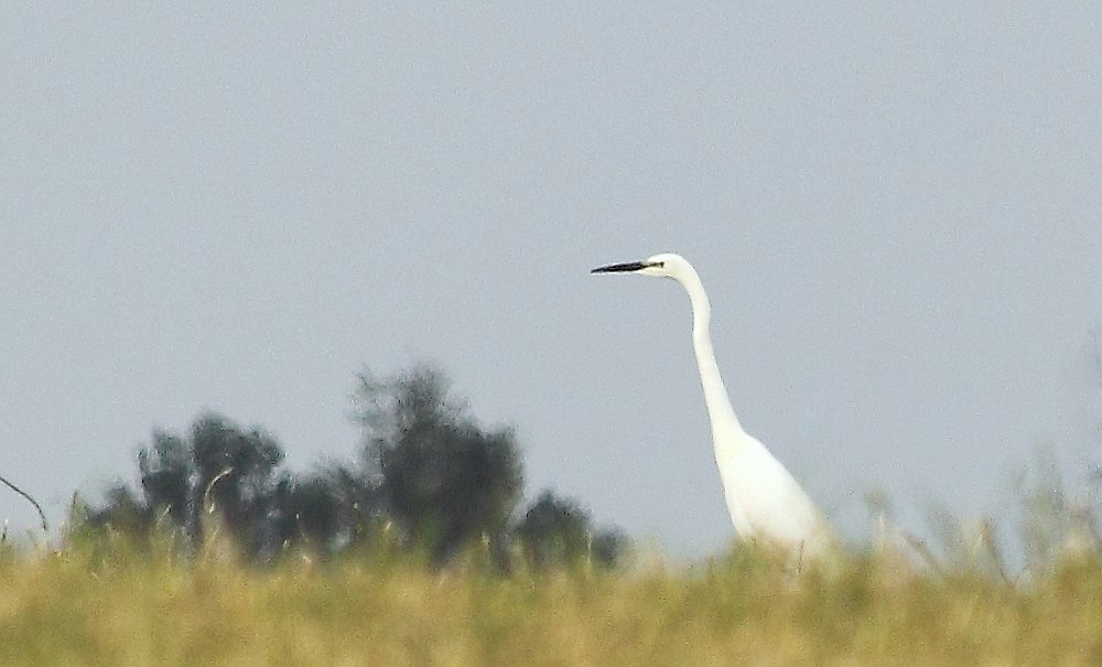 Photograph by Ірина Шандрук