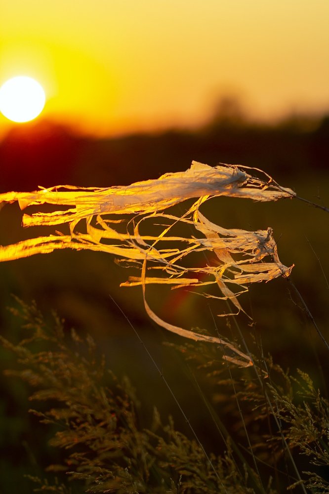 Photograph by Алексей Куликов