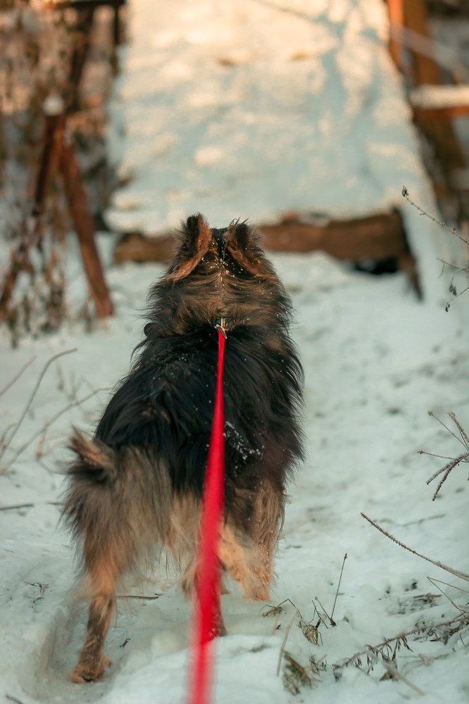 Photograph by Алексей Артышко