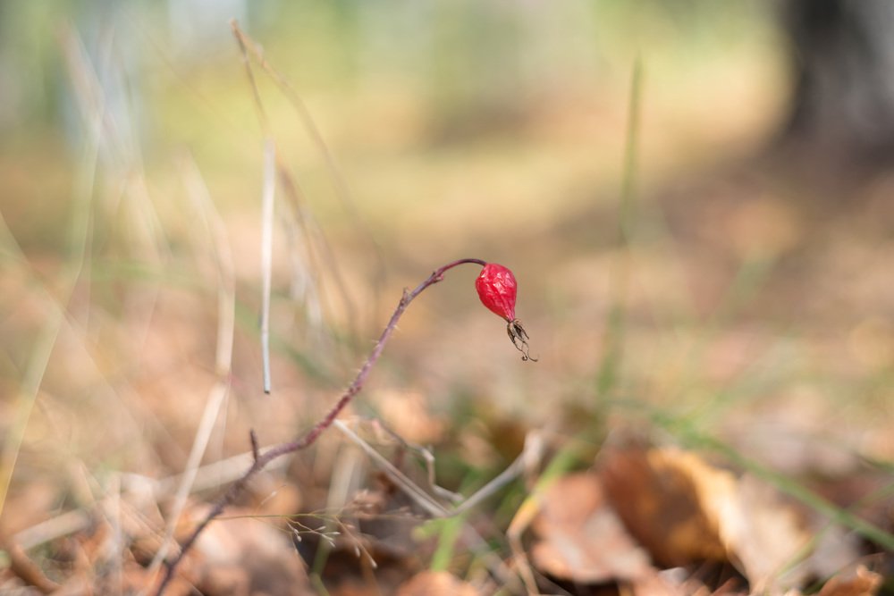 Photograph by Кадырова Анастасия