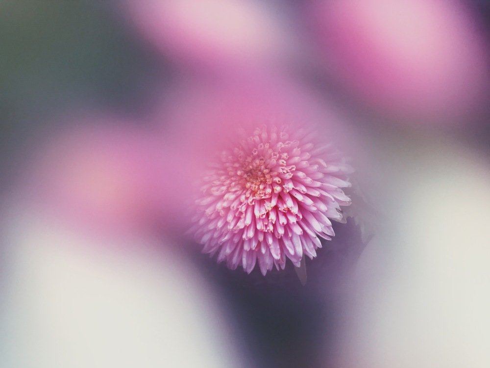 Photograph by Ivan Yudin