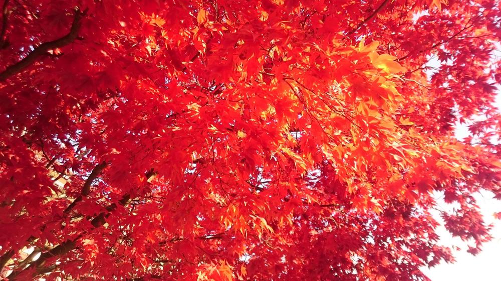 Photograph by Natalja Mountian