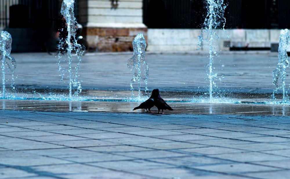 Photograph by Natalja Mountian