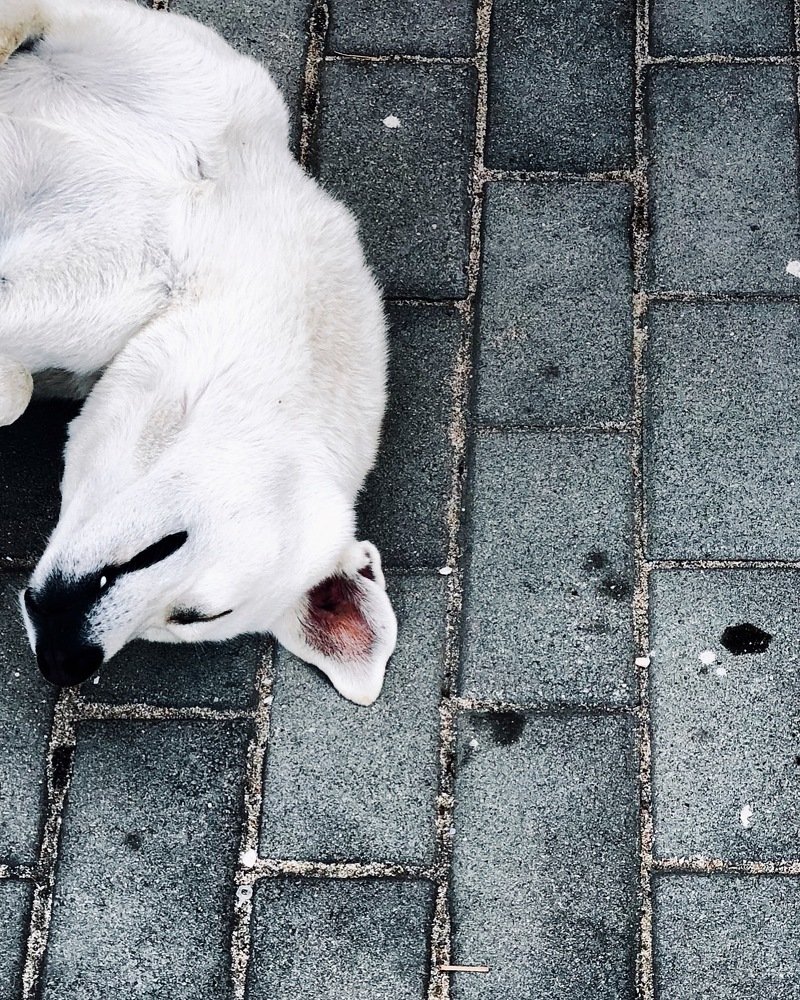 Photograph by Ольга Харлан