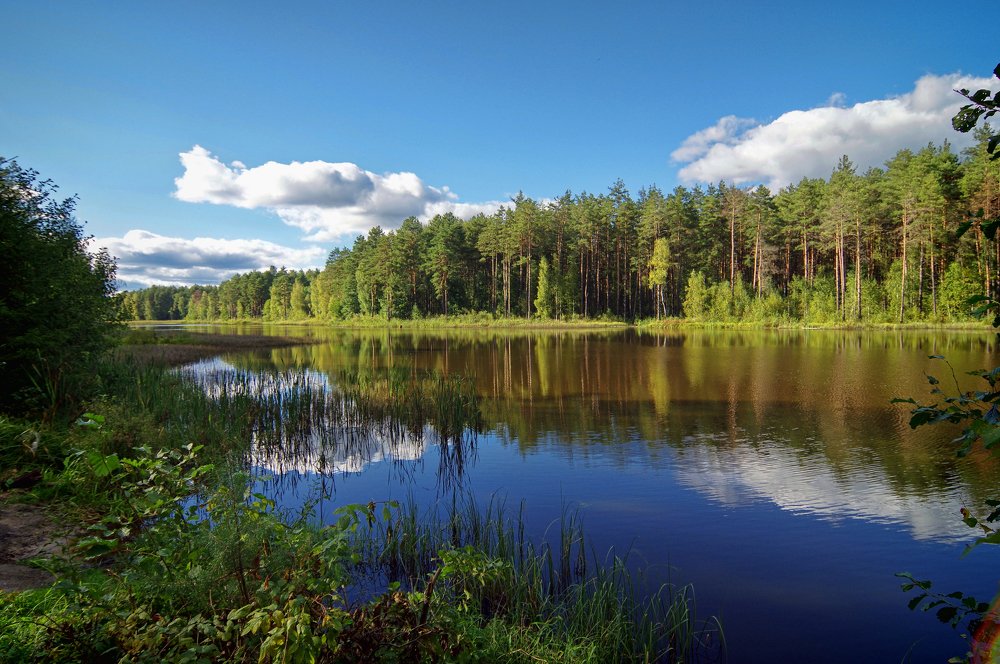 Photograph by Наталья Кащеева