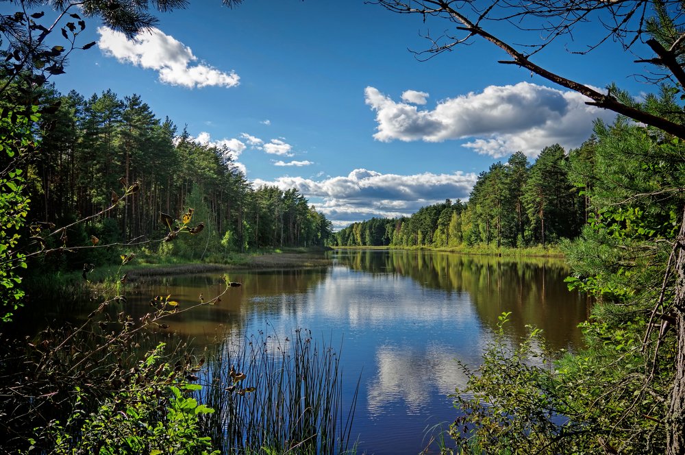Перспектива