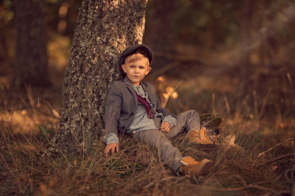 Autumn in the forest...