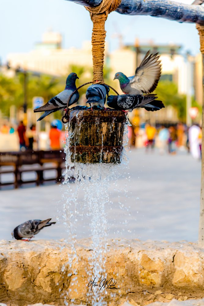 Photograph by Muhammad Adnan