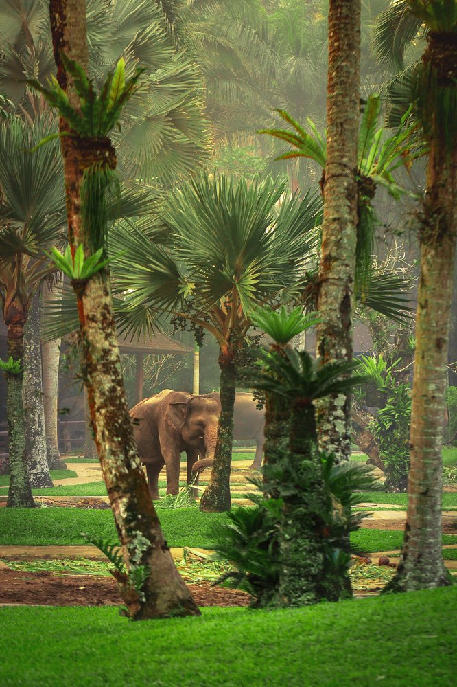 Photograph by Алексей Артышко