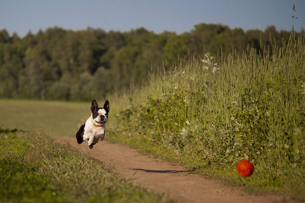Photograph by Юлия