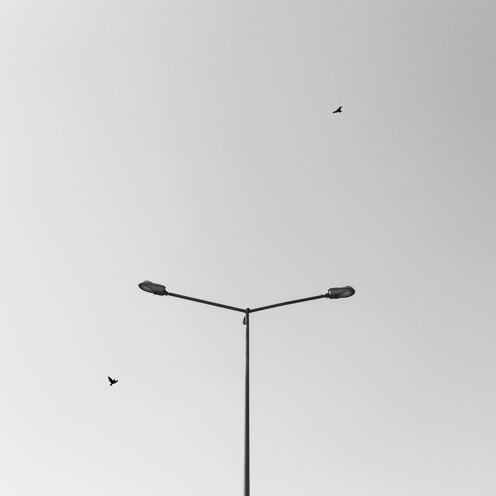 Let the lights guide you...