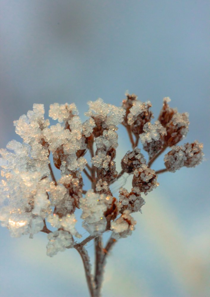 Photograph by Алексей Артышко