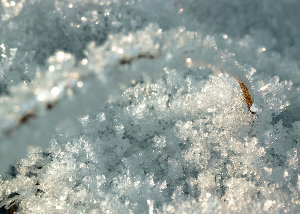 Photograph by Алексей Артышко